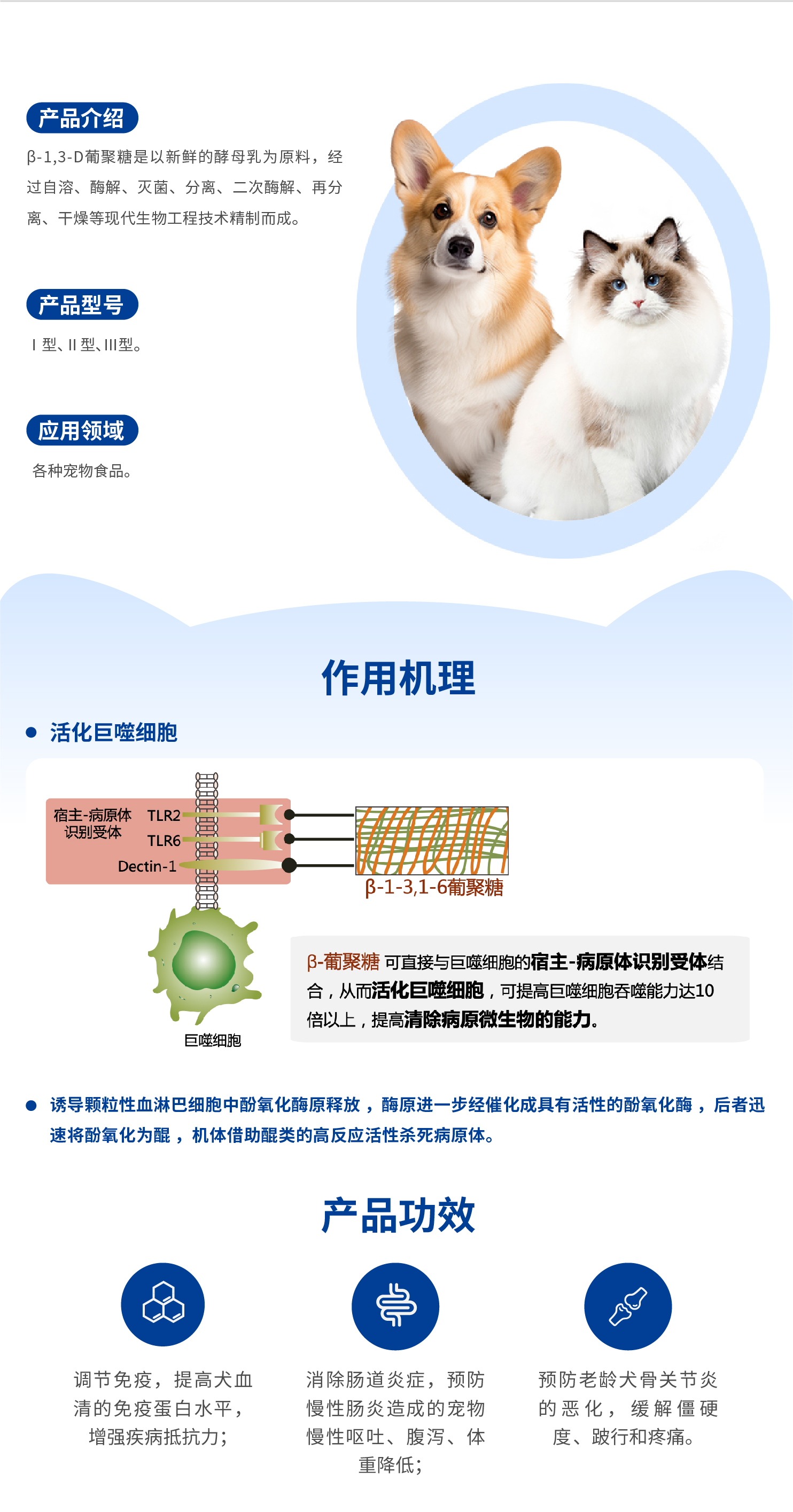 6.β-1,3-D葡聚糖-01.jpg